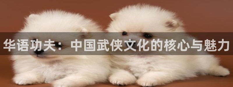 杏宇平台：华语功夫：中国武侠文化的核心与魅力