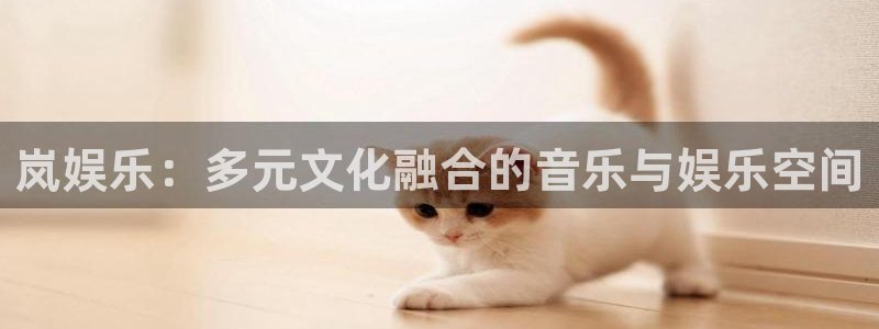 杏宇平台：岚娱乐：多元文化融合的音乐与娱乐空间