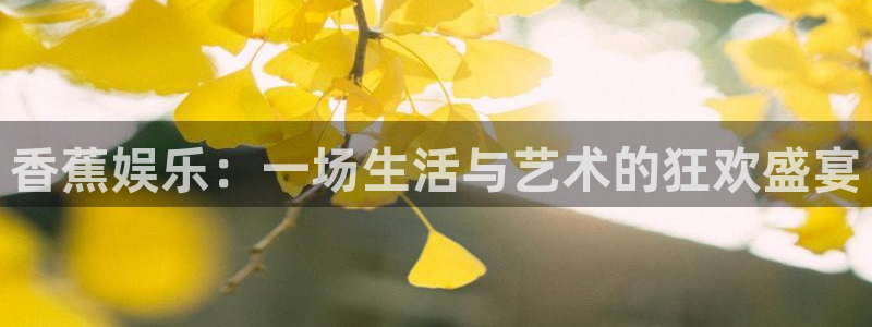 杏宇娱乐：香蕉娱乐：一场生活与艺术的狂欢盛宴