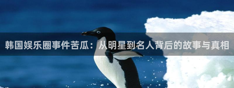 杏宇：韩国娱乐圈事件苦瓜：从明星到名人背后的故事与真相