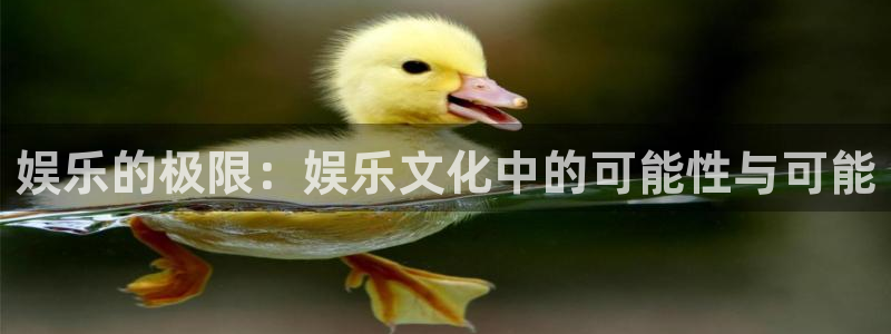 杏宇在线：娱乐的极限：娱乐文化中的可能性与可能