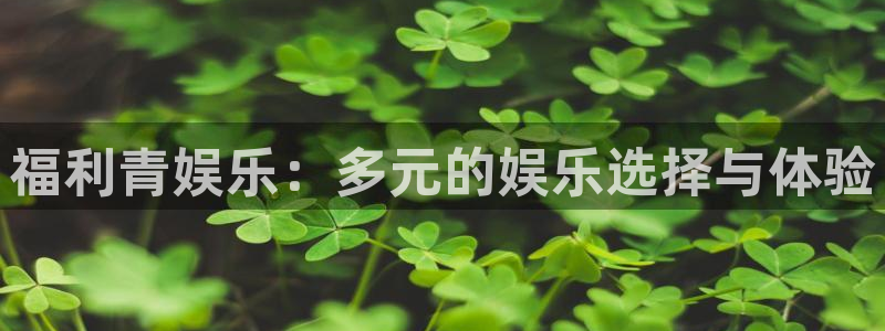 杏宇娱乐：福利青娱乐：多元的娱乐选择与体验