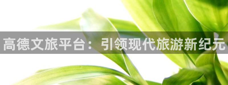 杏宇平台：高德文旅平台：引领现代旅游新纪元