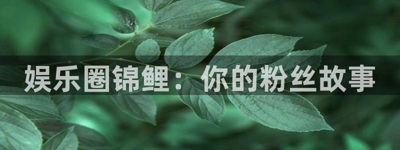 杏宇平台：娱乐圈锦鲤：你的粉丝故事