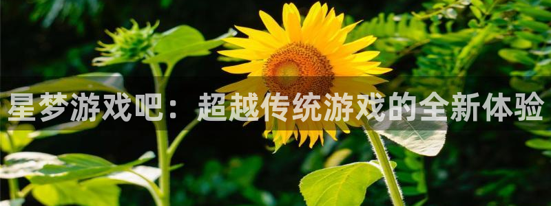 杏宇在线：星梦游戏吧：超越传统游戏的全新体验