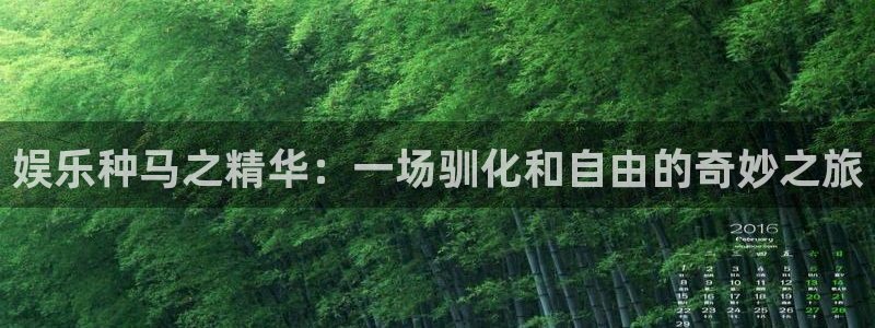 杏宇在线：娱乐种马之精华：一场驯化和自由的奇妙之旅